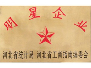 河北省明星企业