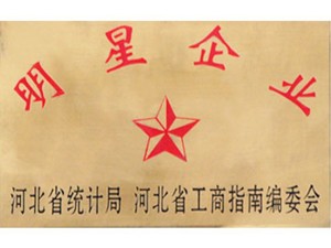 Hebei Star Enterprise